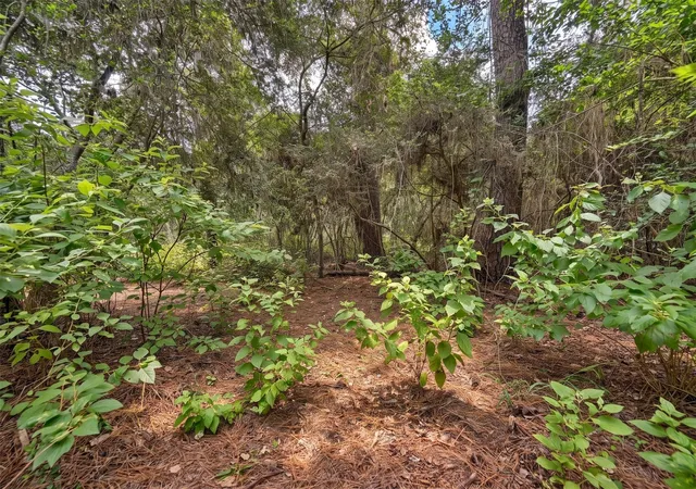 10th image of 3340 County Road 325, Navasota, TX 77868 | MLS# 2713529