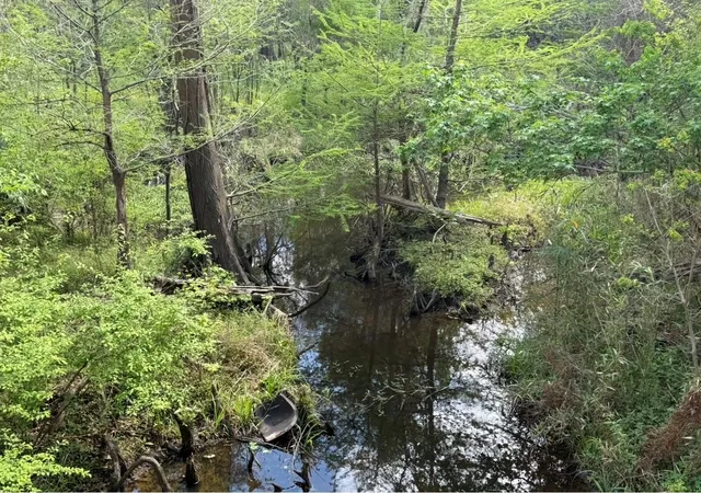 Photo 1 of Land for sale at 7571 County Rd 2252, Cleveland, TX 77327 | MLS# 16461201 | Listing updated on 2026-07-21