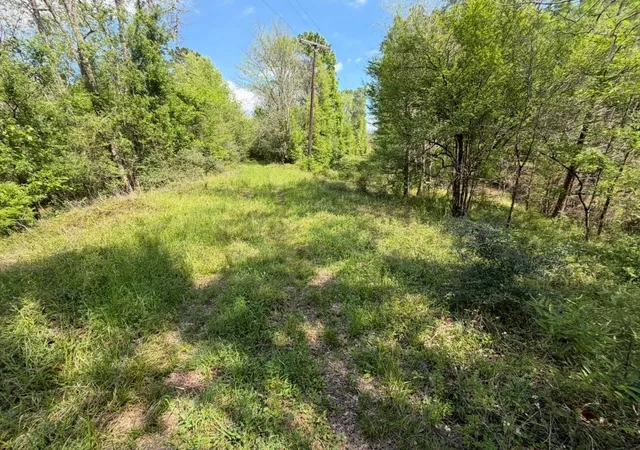 Photo 2 of Land for sale at 7571 County Rd 2252, Cleveland, TX 77327 | MLS# 16461201 | Listing updated on 2026-07-21