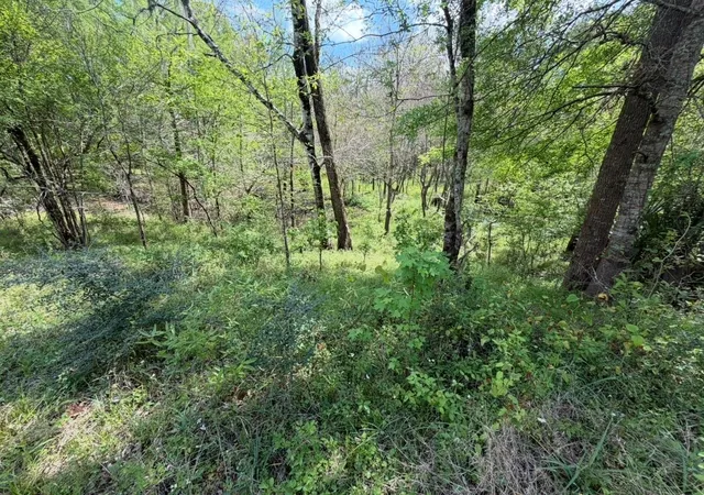 Photo 3 of Land for sale at 7571 County Rd 2252, Cleveland, TX 77327 | MLS# 16461201 | Listing updated on 2026-07-21