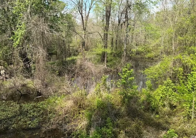 Photo 3 of Land for sale at 7571 County Rd 2252, Cleveland, TX 77327 | MLS# 16461201 | Listing updated on 2026-07-21