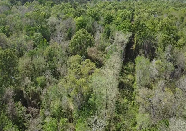 Photo 4 of Land for sale at 7571 County Rd 2252, Cleveland, TX 77327 | MLS# 16461201 | Listing updated on 2026-07-21