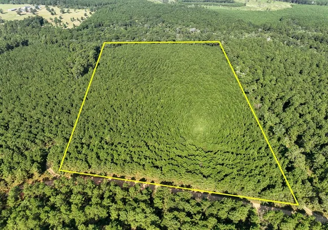 Photo 1 of Land for sale at 0 Shady Grove Rd, Woodville, TX 75979 | MLS# 26094525 | Listing updated on 2026-08-07