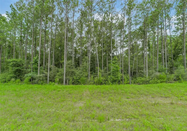 3rd image of 15832 Ridge Oak Rd, Willis, TX 77378 | MLS# 76345079