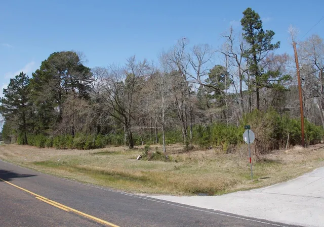 Photo 1 of Land for sale at 4345 Fm 3188, Trinity, TX 75862 | MLS# 72914662 | Listing updated on 2026-03-17
