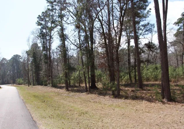 Photo 3 of Land for sale at 4345 Fm 3188, Trinity, TX 75862 | MLS# 72914662 | Listing updated on 2026-03-17