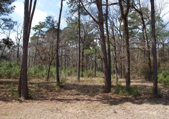 Photo 3 of Land for sale at 4345 Fm 3188, Trinity, TX 75862 | MLS# 72914662 | Listing updated on 2026-03-17