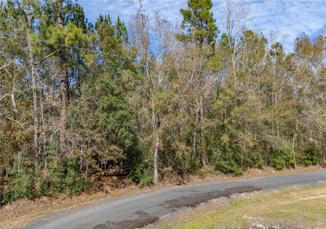 2nd image of 00 Christensen Rd, Hankamer, TX 77560 | MLS# 42634774
