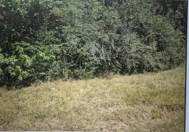 Photo 1 of Land for sale at 0 Phillip Cooper Rd, Corrigan, TX 75939 | MLS# 15338457 | Listing updated on 2026-08-29