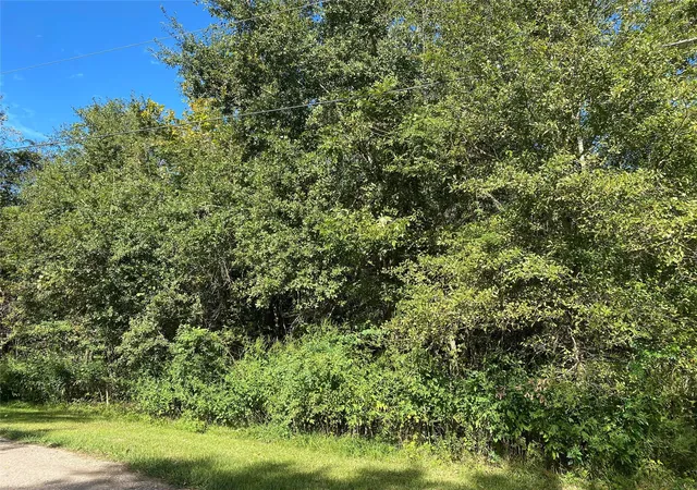 Photo 3 of Land for sale at 2653 County Rd 348, Brazoria, TX 77422 | MLS# 30603264 | Listing updated on 2026-01-23
