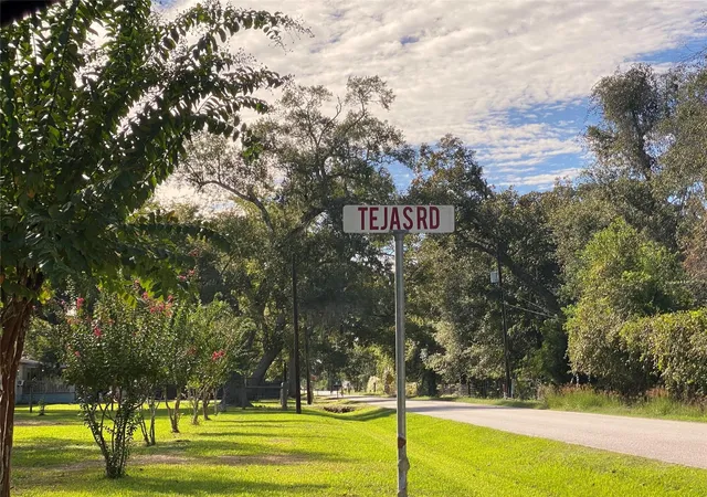Photo 3 of Land for sale at 2653 County Rd 348, Brazoria, TX 77422 | MLS# 30603264 | Listing updated on 2026-01-23