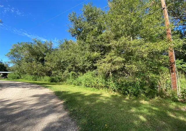 Photo 4 of Land for sale at 2653 County Rd 348, Brazoria, TX 77422 | MLS# 30603264 | Listing updated on 2026-01-23