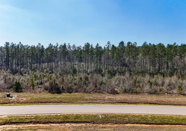 Photo 2 of Land for sale at 15973 Ridge Oak Rd, Willis, TX 77378 | MLS# 37198753 | Listing updated on 2026-06-24