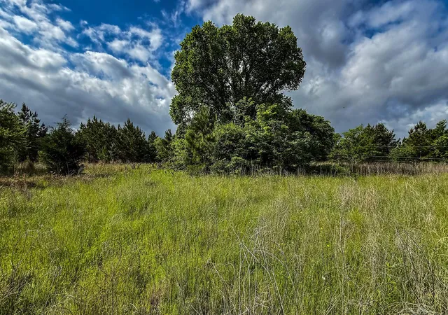 2nd image of 2049 Acres State Hwy 19, Huntsville, TX 77320 | MLS# 34165816