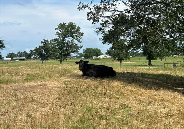 2nd image of 38535 Wiggins Rd, Hempstead, TX 77445 | MLS# 81049459