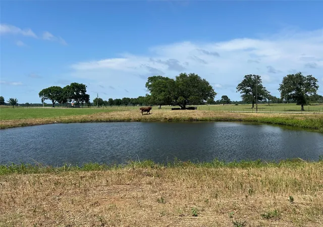 Photo 3 of Land for sale at 38535 Wiggins Rd, Hempstead, TX 77445 | MLS# 81049459 | Listing updated on 2026-07-14