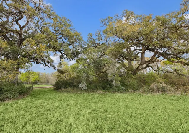 Homes for sale in Round Top, TX | 895 S Weyand Rd, Round Top, TX 78954 | MLS# 87299146