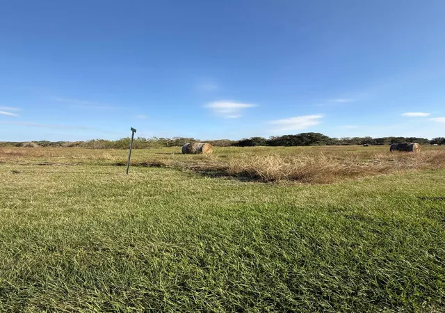 Photo 3 of Land for sale at 000 River Holw Way, Blessing, TX 77419 | MLS# 38539063 | Listing updated on 2026-05-16
