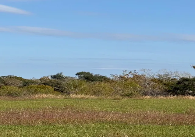 Photo 4 of Land for sale at 000 River Holw Way, Blessing, TX 77419 | MLS# 38539063 | Listing updated on 2026-05-16