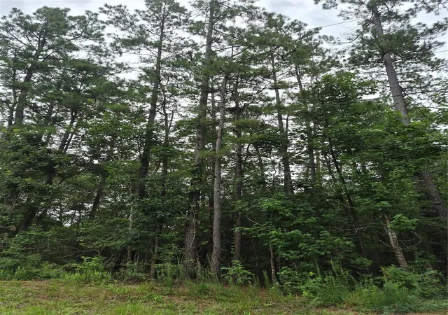 Photo 2 of Land for sale at 380 County Rd 6494, Dayton, TX 77535 | MLS# 17841024 | Listing updated on 2026-07-21