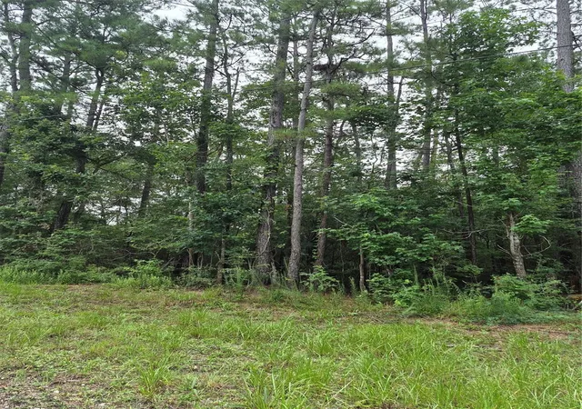 Photo 3 of Land for sale at 380 County Rd 6494, Dayton, TX 77535 | MLS# 17841024 | Listing updated on 2026-07-21