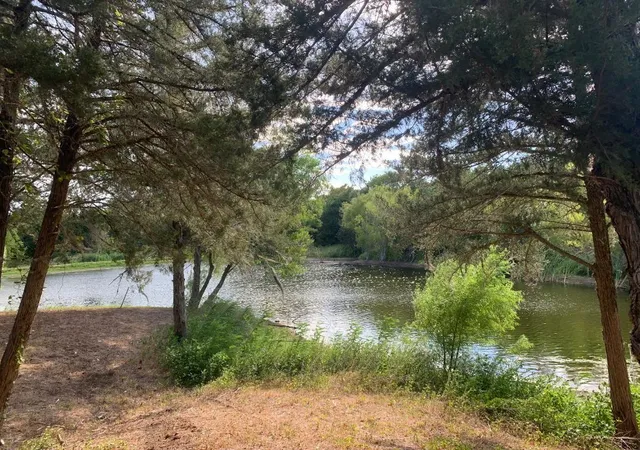 5th image of 129 Legacy Blvd, Pointblank, TX 77364 | MLS# 68487377