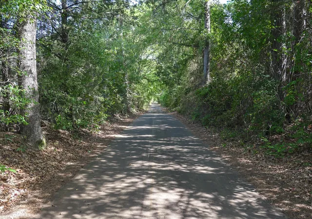 Photo 4 of Land for sale at Lot 2 County Road 1584, Avinger, TX 75630 | MLS# 83397542 | Listing updated on 2026-09-23