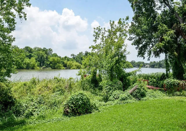 50th image of 4222 Lakeshore Forest Dr, Missouri City, TX 77459 | MLS# 25250175