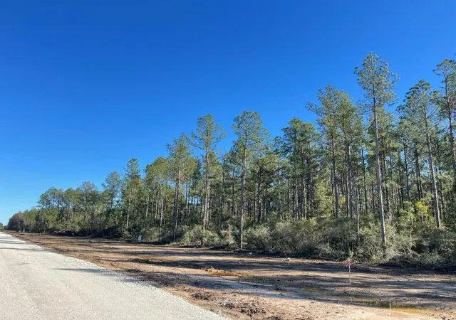 Homes for sale in Sour Lake, TX | Tbd Black Cat Rd, Sour Lake, TX 77659 | MLS# 58559012