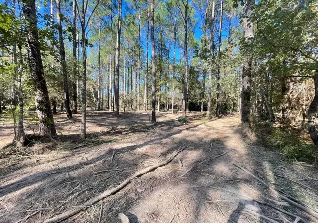 Homes for sale in Sour Lake, TX | Tbd Black Cat Rd, Sour Lake, TX 77659 | MLS# 58559012