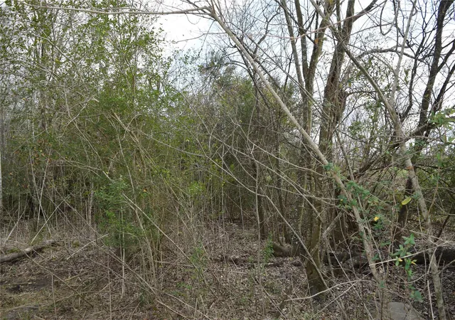 4th image of 0 Herridge/Cr 827, Pearland, TX 77581 | MLS# 67488333