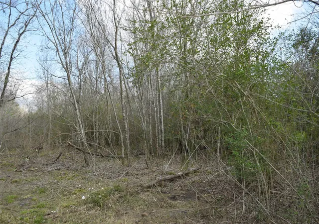 5th image of 0 Herridge/Cr 827, Pearland, TX 77581 | MLS# 67488333