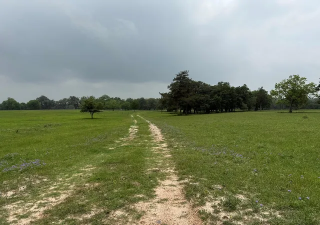 1st image of 5719 4 Farm To Market 2238, Schulenburg, TX 78956 | MLS# 90611992