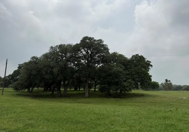 Photo 3 of Sale Pending at 5719 4 Farm To Market 2238, Schulenburg, TX 78956 | MLS# 90611992 | Listing updated on 2026-09-05