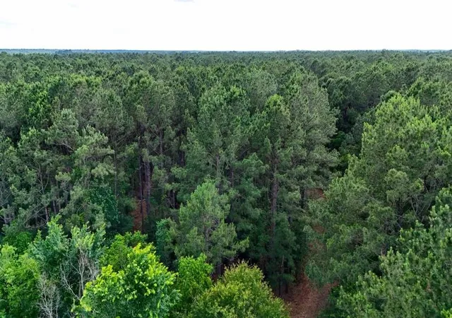Homes for sale in Kirbyville, TX | 000 Private Road 51701, Kirbyville, TX 75956 | MLS# 62655351