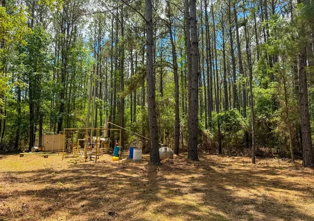 Homes for sale in Kirbyville, TX | 000 Private Road 51701, Kirbyville, TX 75956 | MLS# 62655351