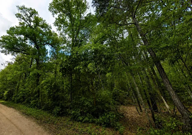 1st image of 1 7 6 Legacy Grand Rd, New Waverly, TX 77358 | MLS# 67870875