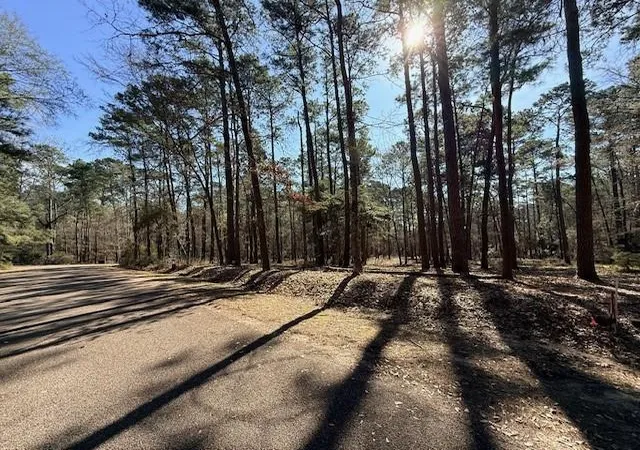 Photo 1 of Land for sale at 220 Altwood Dr, Coldspring, TX 77331 | MLS# 63383369 | Listing updated on 2026-07-16
