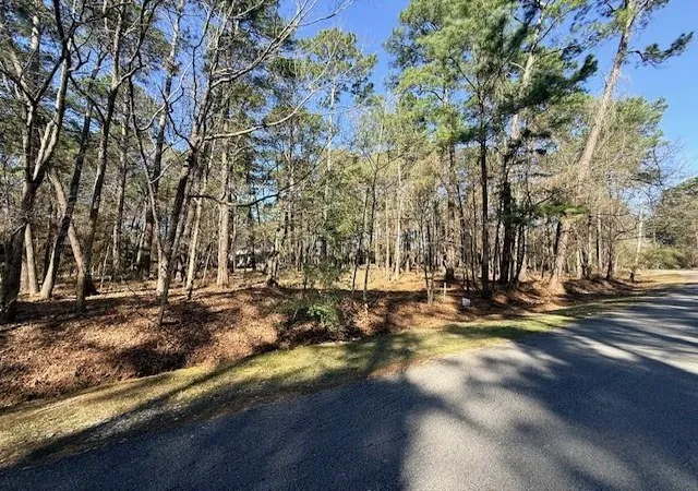 Photo 2 of Land for sale at 220 Altwood Dr, Coldspring, TX 77331 | MLS# 63383369 | Listing updated on 2026-07-16