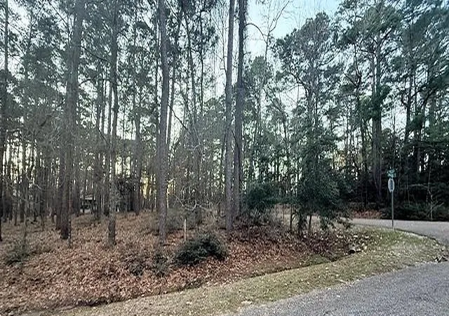 Photo 3 of Land for sale at 220 Altwood Dr, Coldspring, TX 77331 | MLS# 63383369 | Listing updated on 2026-07-16