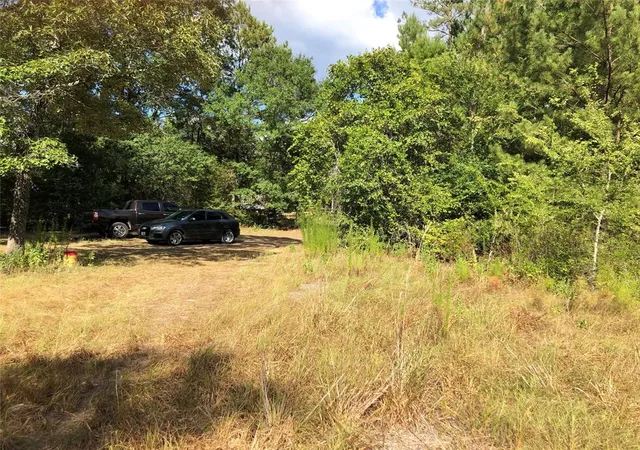2nd image of 26685 Clark Rd, Waller, TX 77484 | MLS# 25189382
