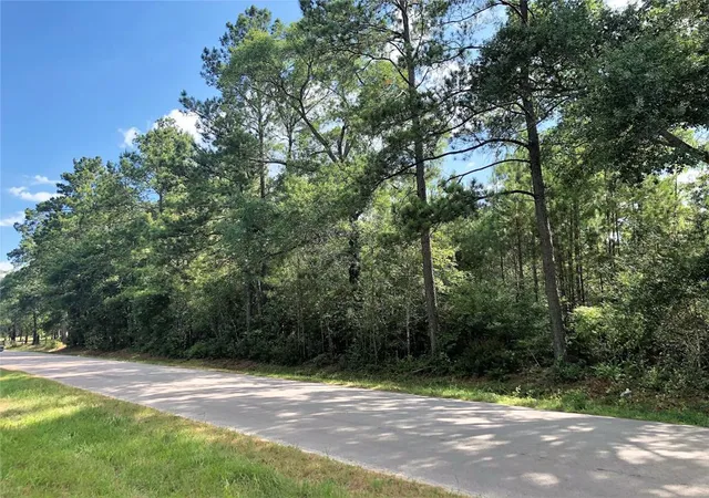 Photo 3 of Land for sale at 26685 Clark Rd, Waller, TX 77484 | MLS# 25189382 | Listing updated on 2026-06-27