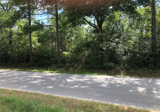Photo 4 of Land for sale at 26685 Clark Rd, Waller, TX 77484 | MLS# 25189382 | Listing updated on 2026-06-27