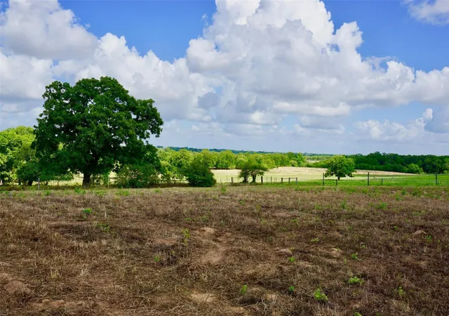 22nd image of 16263 Groce Ln, Hempstead, TX 77445 | MLS# 31798631