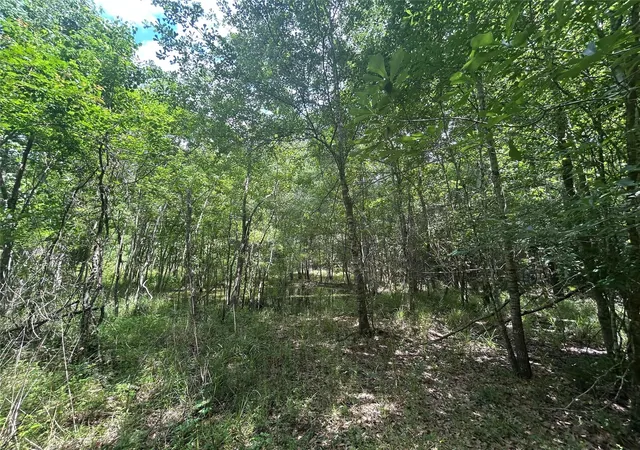 4th image of 26702 Apache Trail, Magnolia, TX 77354 | MLS# 17866426