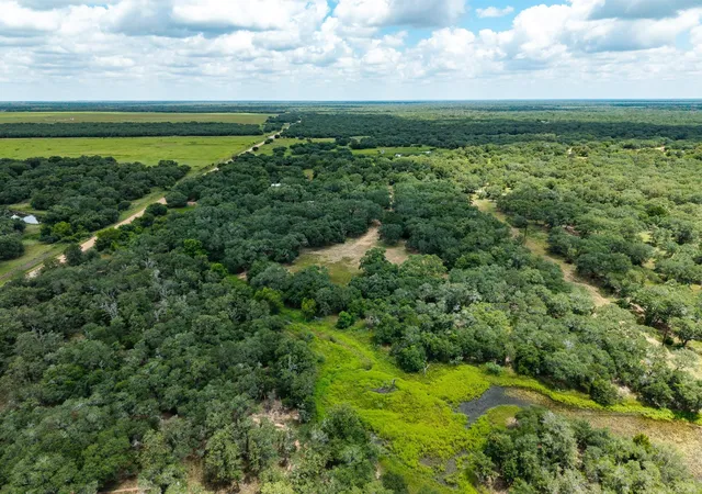 Photo 4 of Land for sale at 5641 County Rd 14, Hallettsville, TX 77964 | MLS# 76646861 | Listing updated on 2026-08-03