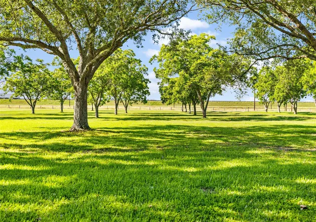 4th image of 725 Cr 428, Lolita, TX 77971 | MLS# 21979207