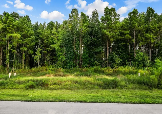 Photo 3 of Land for sale at 9024 Road 5503, Cleveland, TX 77327 | MLS# 77889139 | Listing updated on 2026-08-28