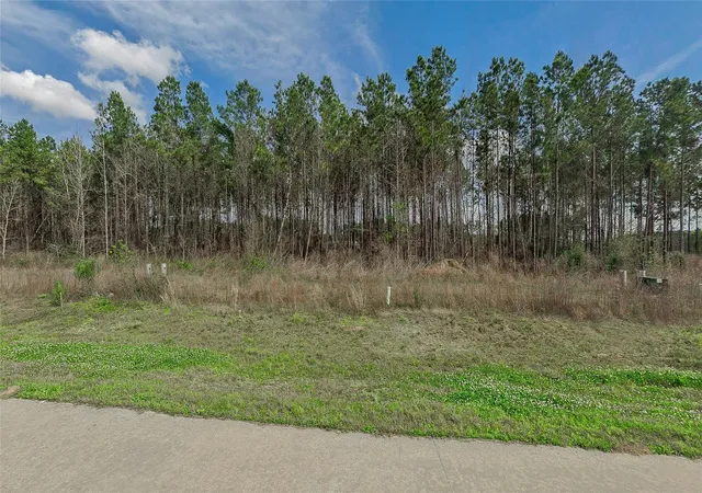 Photo 7 of Land for sale at 9024 Road 5503, Cleveland, TX 77327 | MLS# 77889139 | Listing updated on 2026-08-28
