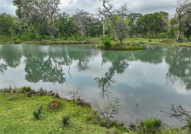 Photo 4 of Land for sale at 0 N Hwy 36, Brazoria, TX 77422 | MLS# 52071733 | Listing updated on 2026-07-19